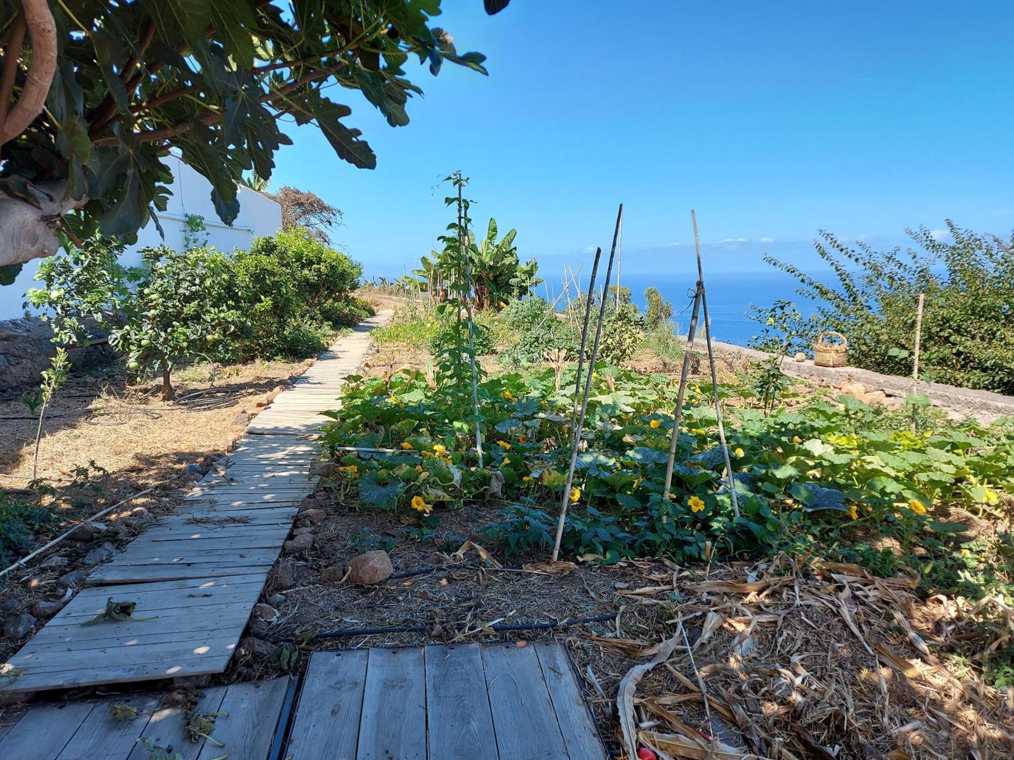 CASAS EN FINCA ECOLÓGICA EL BICLEN, NATURALEZA, CALMA Y VISTAS al MAR, Icod el Alto Quarto foto